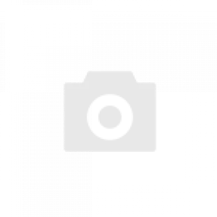 Организация тамады: место, организация и культурные особенности в тамада праздниках